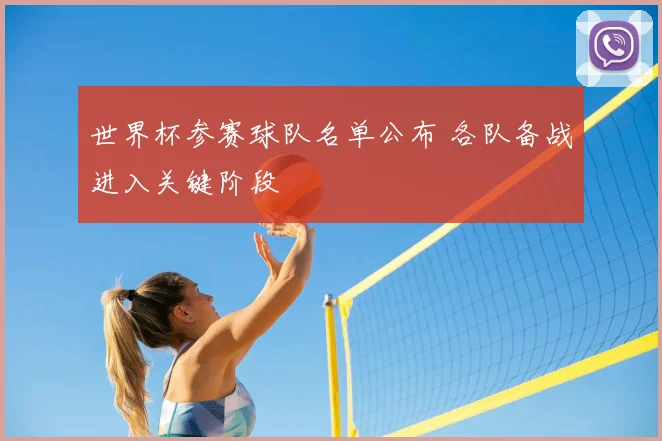 世界杯参赛球队名单公布 各队备战进入关键阶段