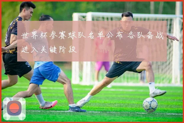世界杯参赛球队名单公布 各队备战进入关键阶段