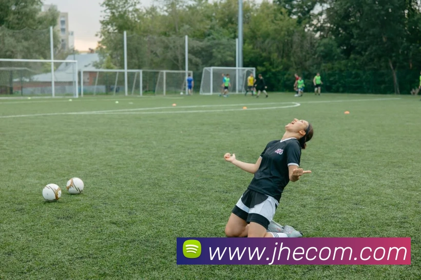 世界杯平台官网登录服务体系